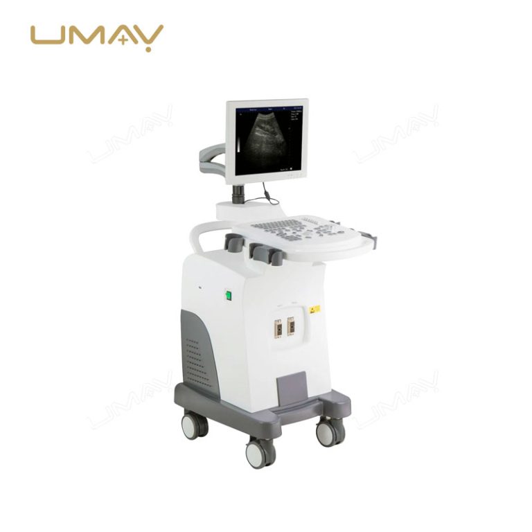 3D 4D Trolley Ultrasound Machine with B W Diagnostic Imaging and Convex Probe-1