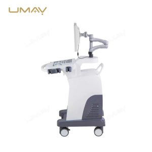 3D 4D Trolley Ultrasound Machine with B W Diagnostic Imaging and Convex Probe-3