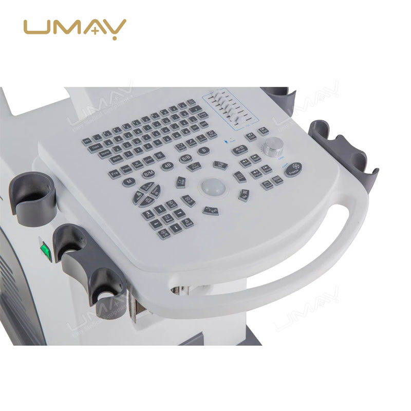 3D/4D Trolley Ultrasound Machine with B/W Diagnostic Imaging and Convex Probe