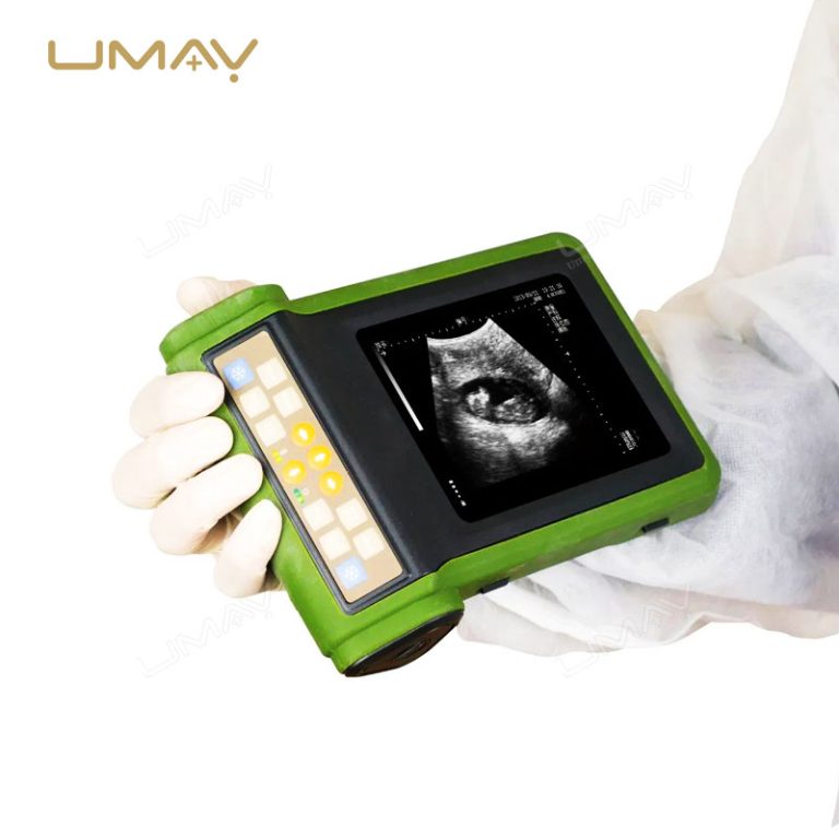 Handheld Veterinary Ultrasound Scanner for Pregnancy Diagnosis in Animals-2