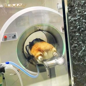 Pet-Friendly Veterinary CT Scanner for Animal Hospitals-4