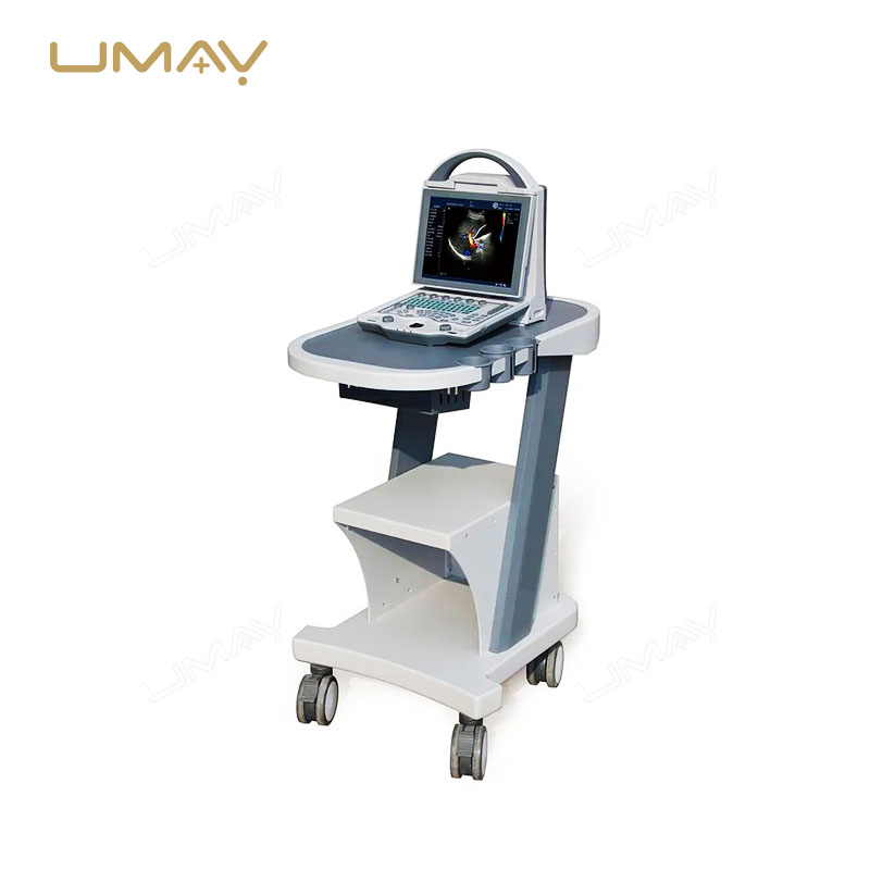 Portable 2D/3D/4D Doppler Ultrasound Machine for Human and Veterinary Use