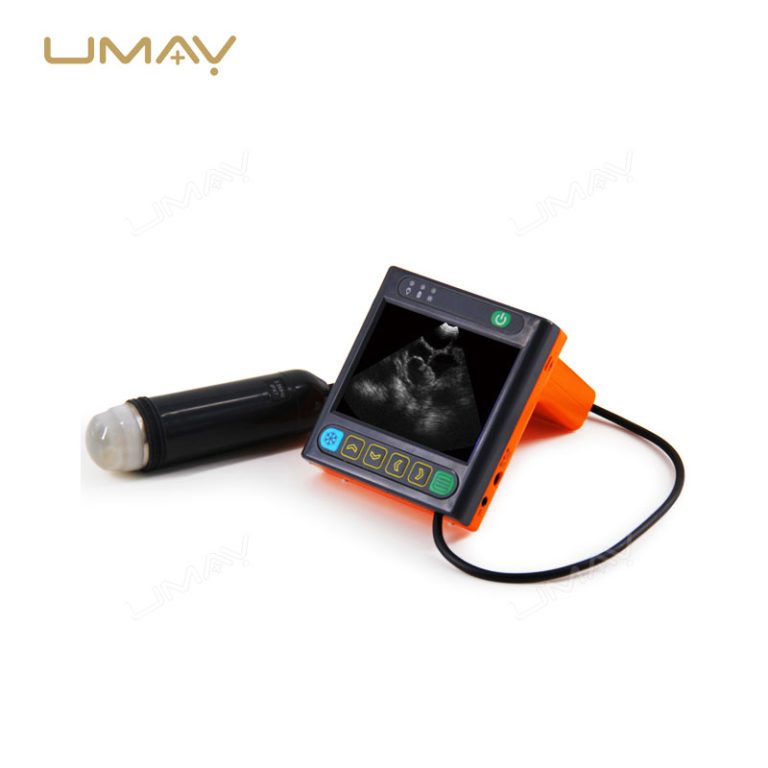 Portable Wrist-Type Full-Digital Mechanical Sector Ultrasound Scanner for Veterinary Use-3