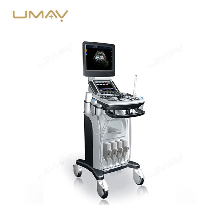 Veterinary Trolley 3D 4D Color Doppler Ultrasound Machine for Diagnostic Imaging-3