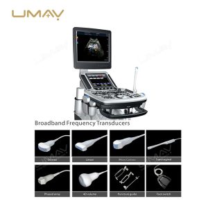 Veterinary Trolley 3D 4D Color Doppler Ultrasound Machine for Diagnostic Imaging-4