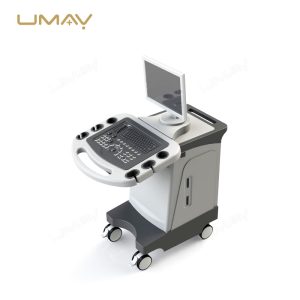 3D Imaging Color Ultrasound Machine with Linear and Convex Probes for Physical Therapy-1