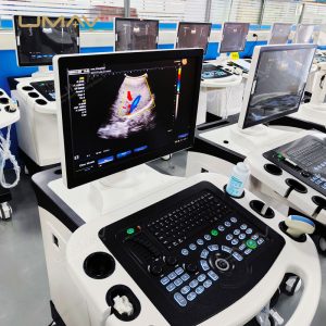 3D Imaging Color Ultrasound Machine with Linear and Convex Probes for Physical Therapy-3