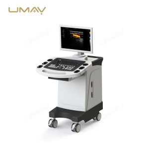 3D Imaging Color Ultrasound Machine with Linear and Convex Probes for Physical Therapy-5