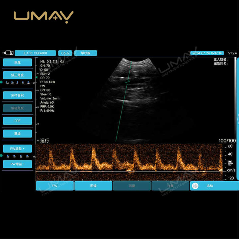 Handheld Micro-Convex Color Doppler Veterinary Ultrasound Probe with IPX7 Waterproof Design