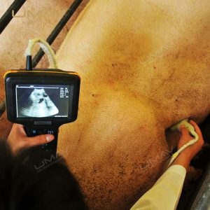 In-Demand Handheld Waterproof Veterinary Ultrasound Scanner-3