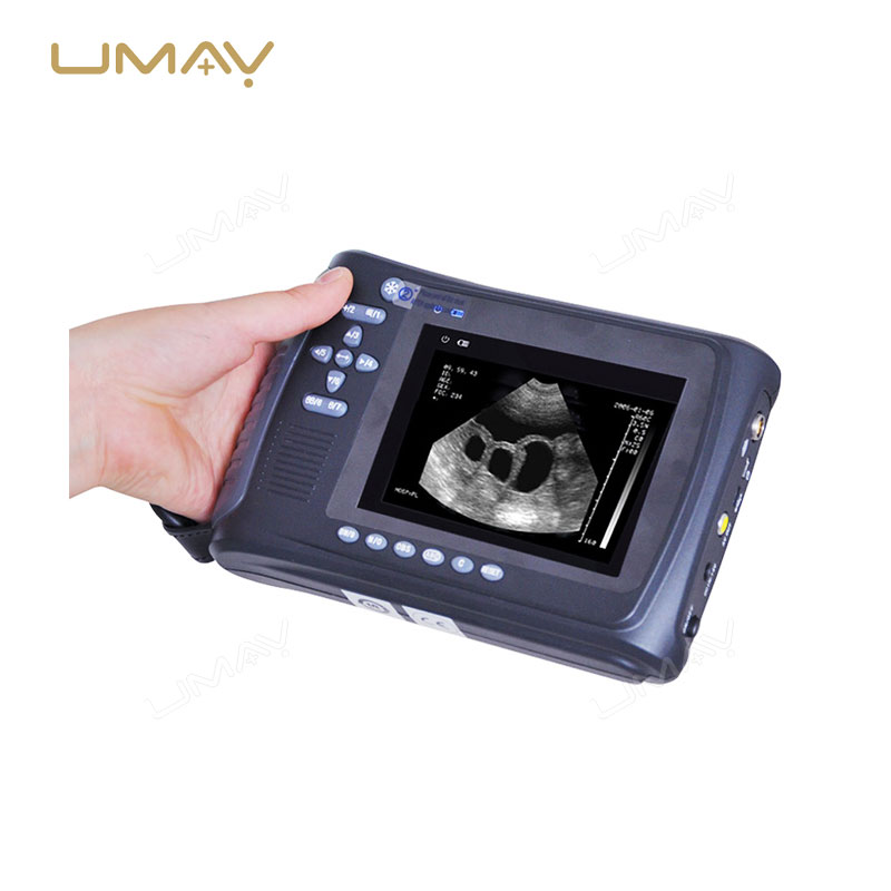 Portable B-Mode Sector Veterinary Ultrasound Scanner