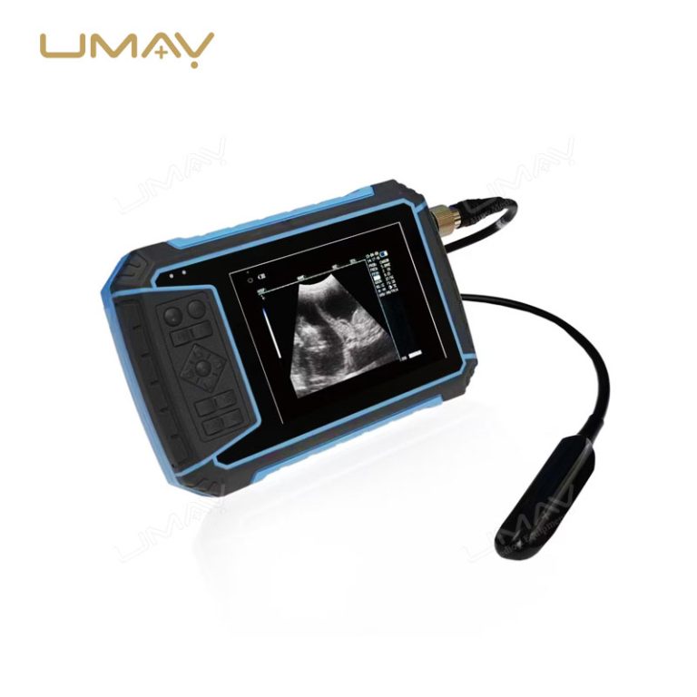 Portable Handheld Digital Veterinary Ultrasound Machine for Imaging-