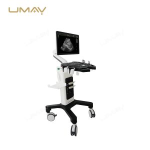 Trolley Color Doppler Ultrasound Machine with 21