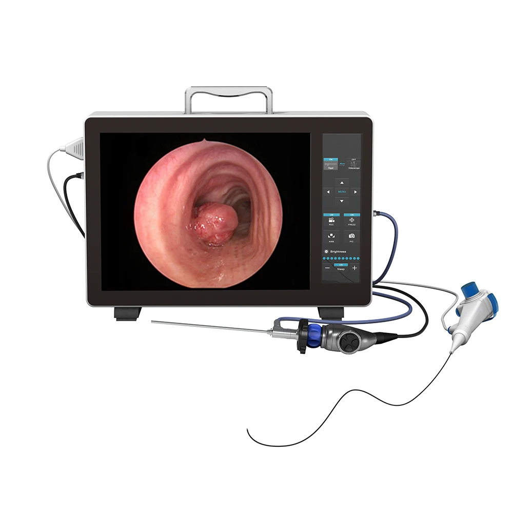 Versatile Veterinary Dual-Use Endoscope System with Disposable Endoscope for Multiple Applications