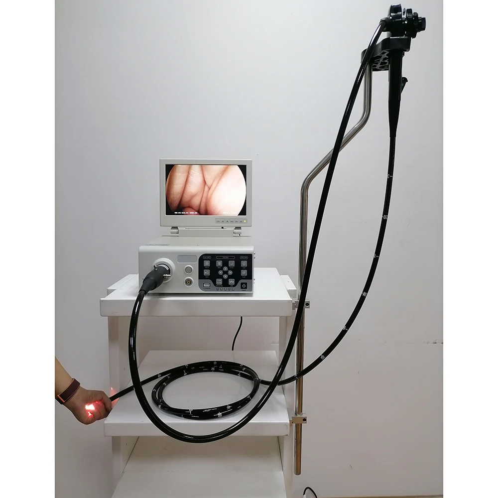 Flexible Veterinary Endoscope Set with Video Gastroscope and Colonoscope