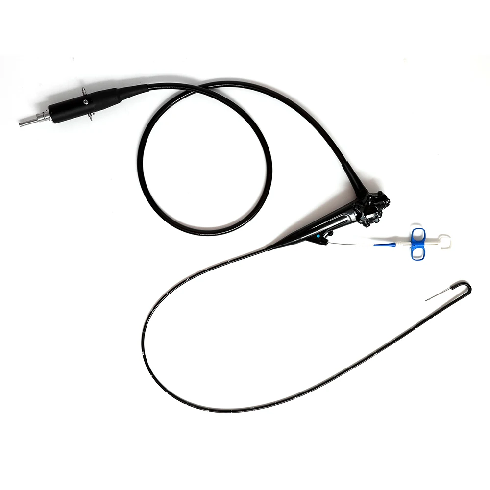 Flexible Veterinary Endoscope Set with Video Gastroscope and Colonoscope