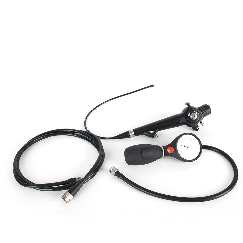 Portable Flexible Video Endoscope with High-Resolution Display for Choledochoscopy