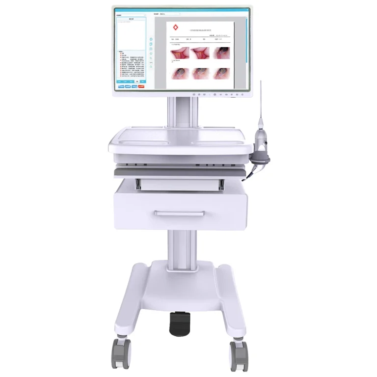 Medical Disposable Rigid Endoscope System with Video Capability