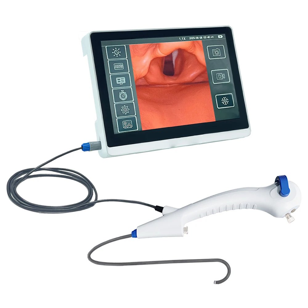 Portable Touch Screen Endoscope with Disposable Flexible Bronchoscope and Ureteroscope Compatibility