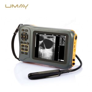 Cost-Effective Veterinary Portable Ultrasound Scanner for Animal Pregnancy Detection-1