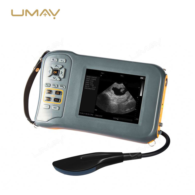 Cost-Effective Veterinary Portable Ultrasound Scanner for Animal Pregnancy Detection