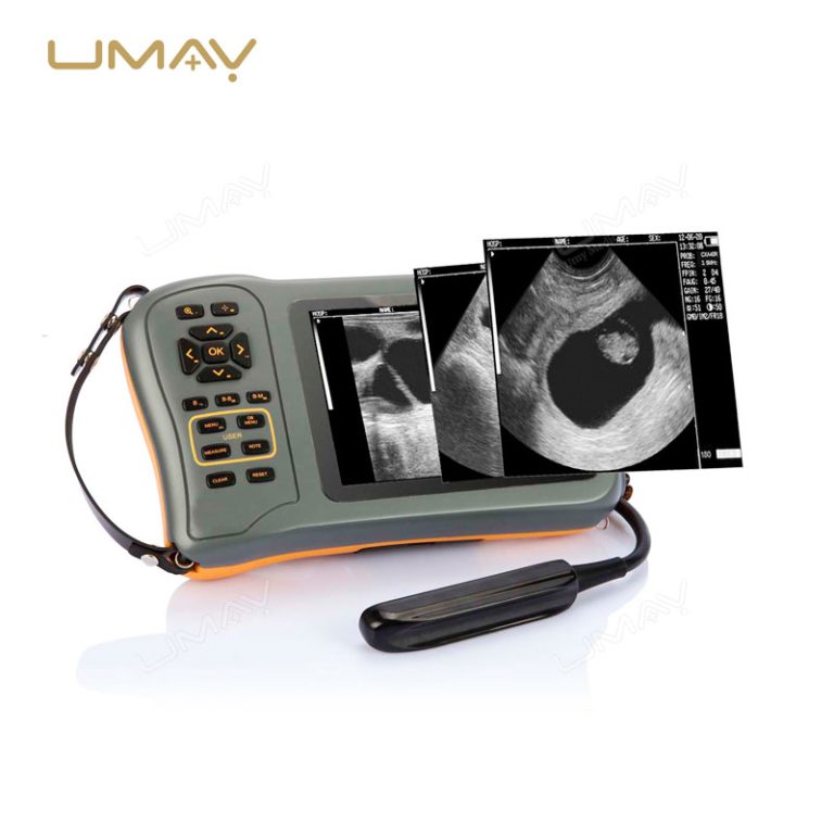 Cost-Effective Veterinary Portable Ultrasound Scanner for Animal Pregnancy Detection-4