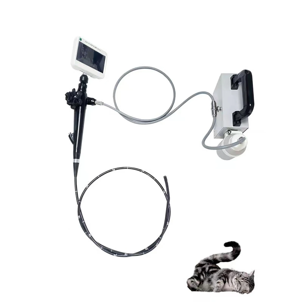 Portable Multifunctional Video Endoscope System for Gastroscopy and Colonoscopy