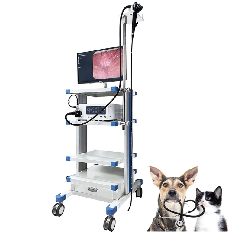 Flexible Veterinary Endoscope - High-Quality Medical Endoscope for Animal Care