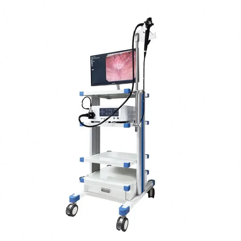 HD 1080P Multifunctional Video Bronchoscope, Nasopharyngoscope, Cystoscope, and Ureteroscope for Comprehensive Human Diagnostics