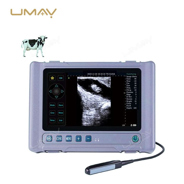 Portable Full Digital Veterinary Ultrasound Scanner with 8-Inch LCD for Premium Image Clarity