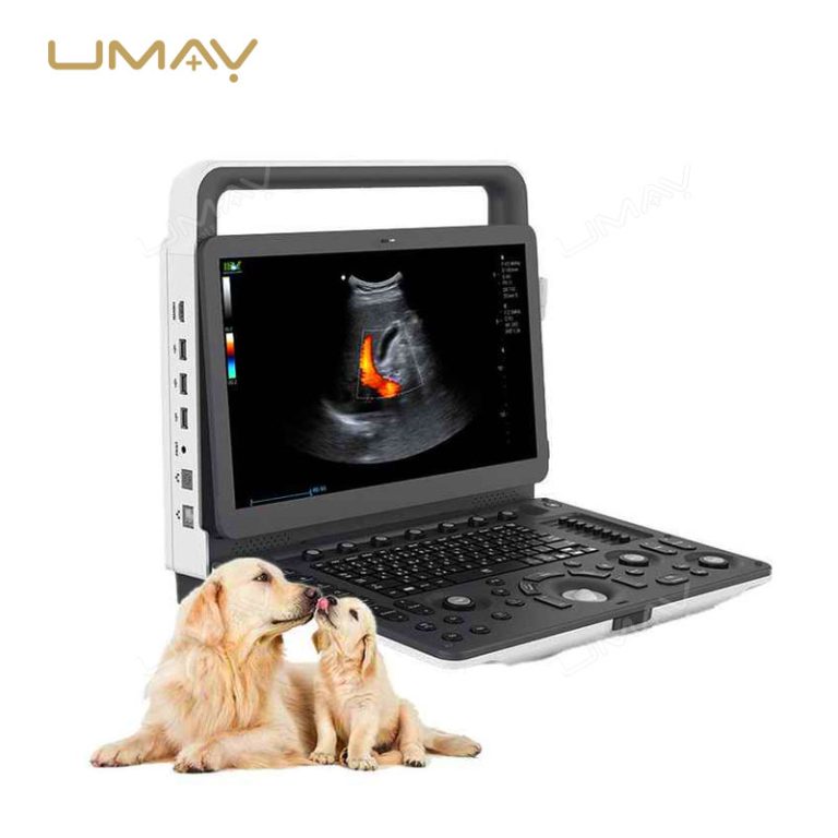 Portable Veterinary Color Doppler Ultrasound Machine with 3D and 4D Imaging Capabilities-3