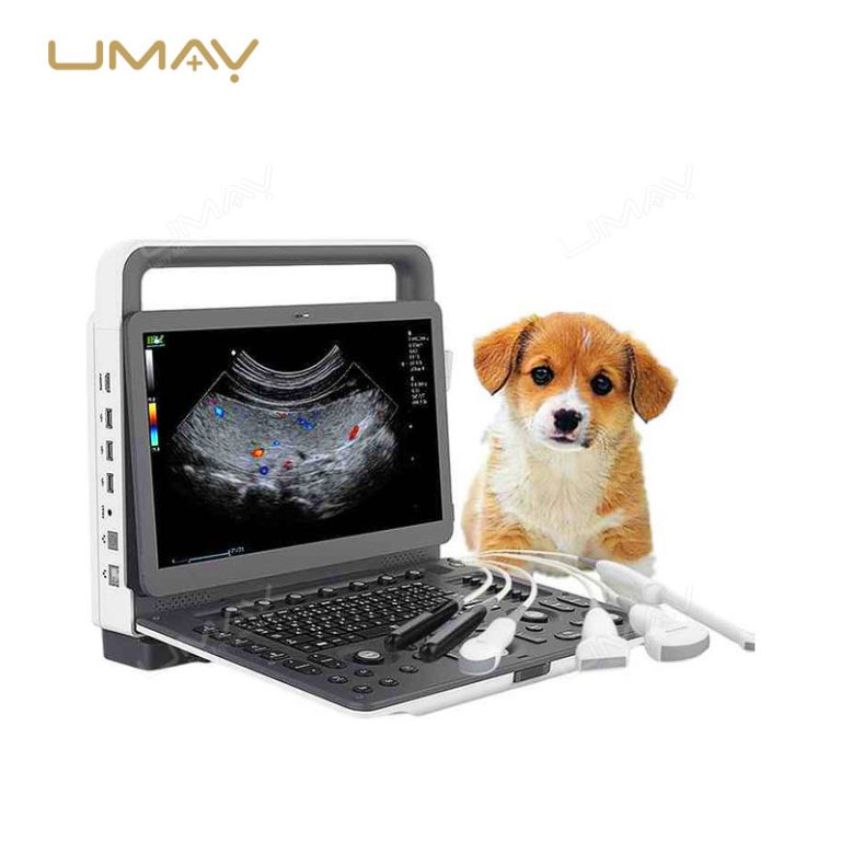 Portable Veterinary Color Doppler Ultrasound Machine with 3D and 4D Imaging Capabilities-4