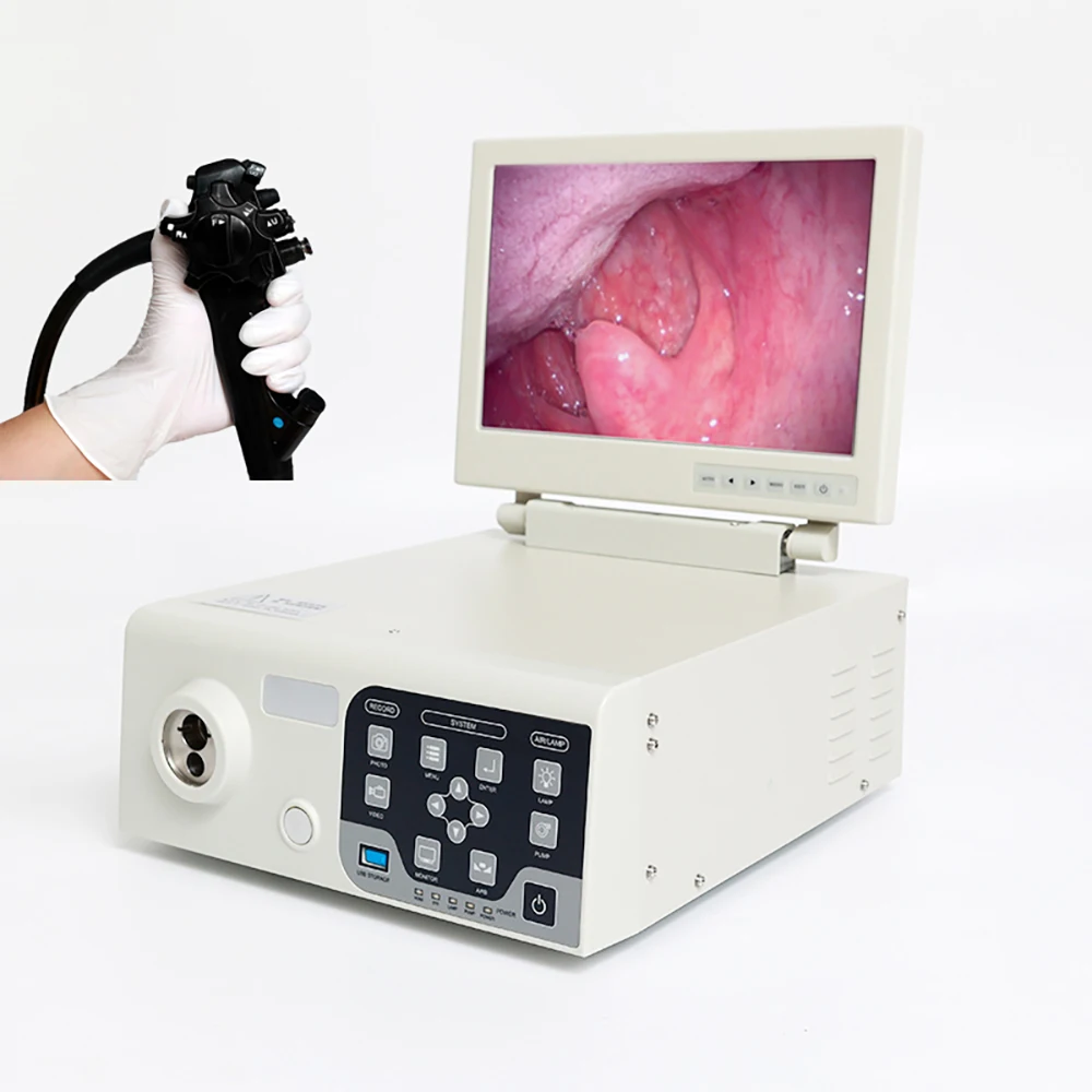 Flexible Veterinary Endoscope Set with Video Gastroscope and Colonoscope