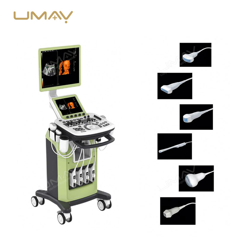 Trolley 3D and 4D Color Doppler Ultrasound Machine for Fine-Detail Imaging