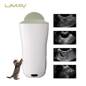 Wireless Ultrasound Scanner with Micro-Convex Probe for Mammal Abdominal Veterinary Diagnostics-2