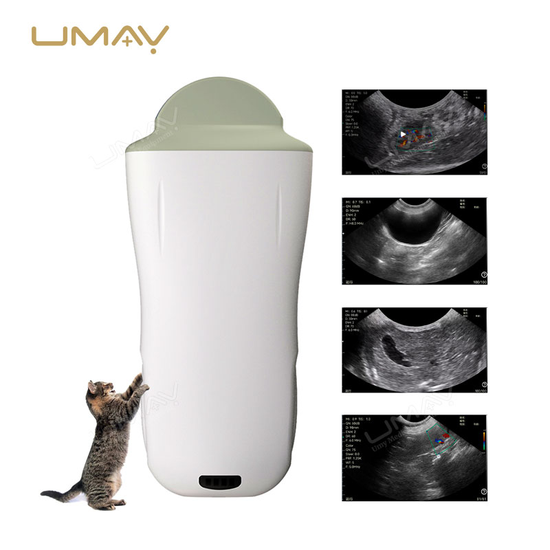 Wireless Ultrasound Scanner with Micro-Convex Probe for Mammal Abdominal Veterinary Diagnostics